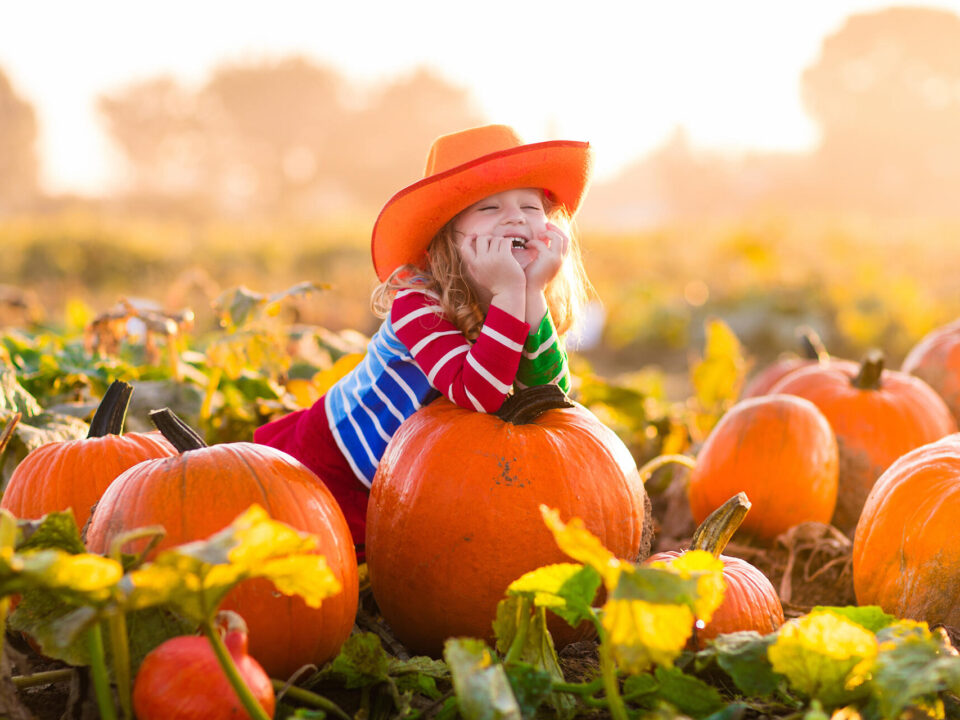 Funny child playing on pumpkin patch